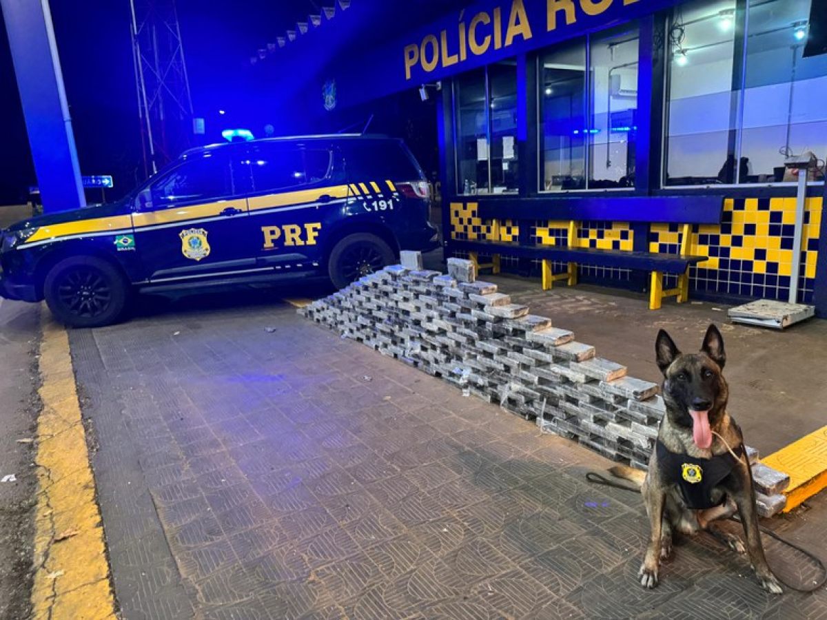 Homem que transportava 176 kg de cocaína é preso em rodovia