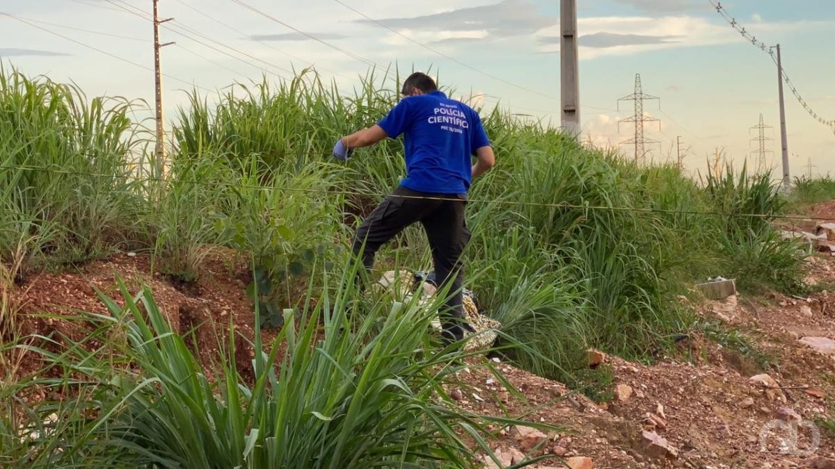 Corpo é encontrado amarrado e com perfurações na cabeça em MT