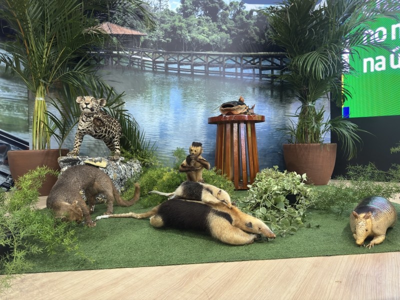 Prefeitura de Sinop destaca potencial turístico e econômico do município na FIT Pantanal 2026