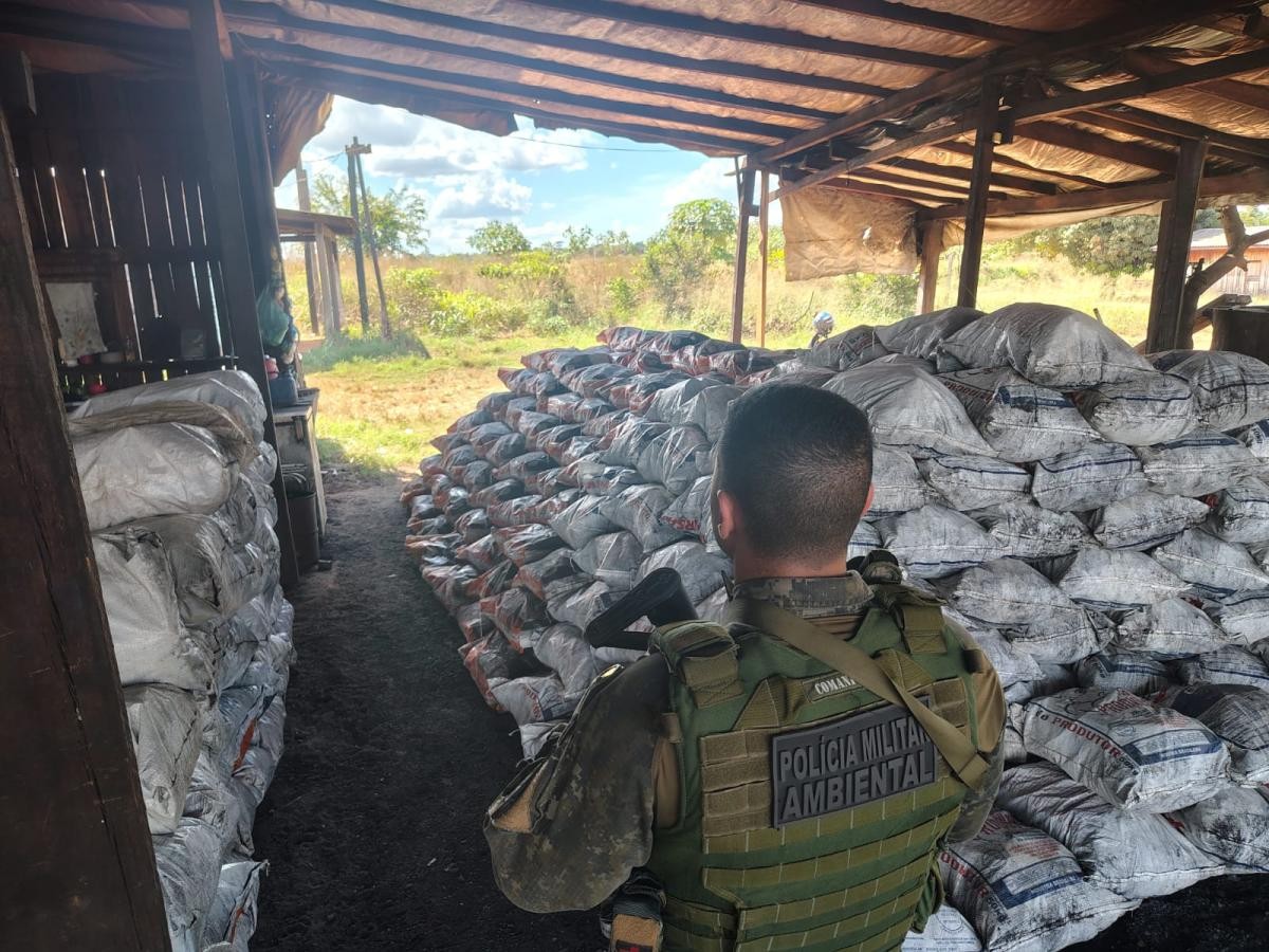 Carvoaria clandestina é embargada e tem 1,1 mil sacos de carvão apreendidos