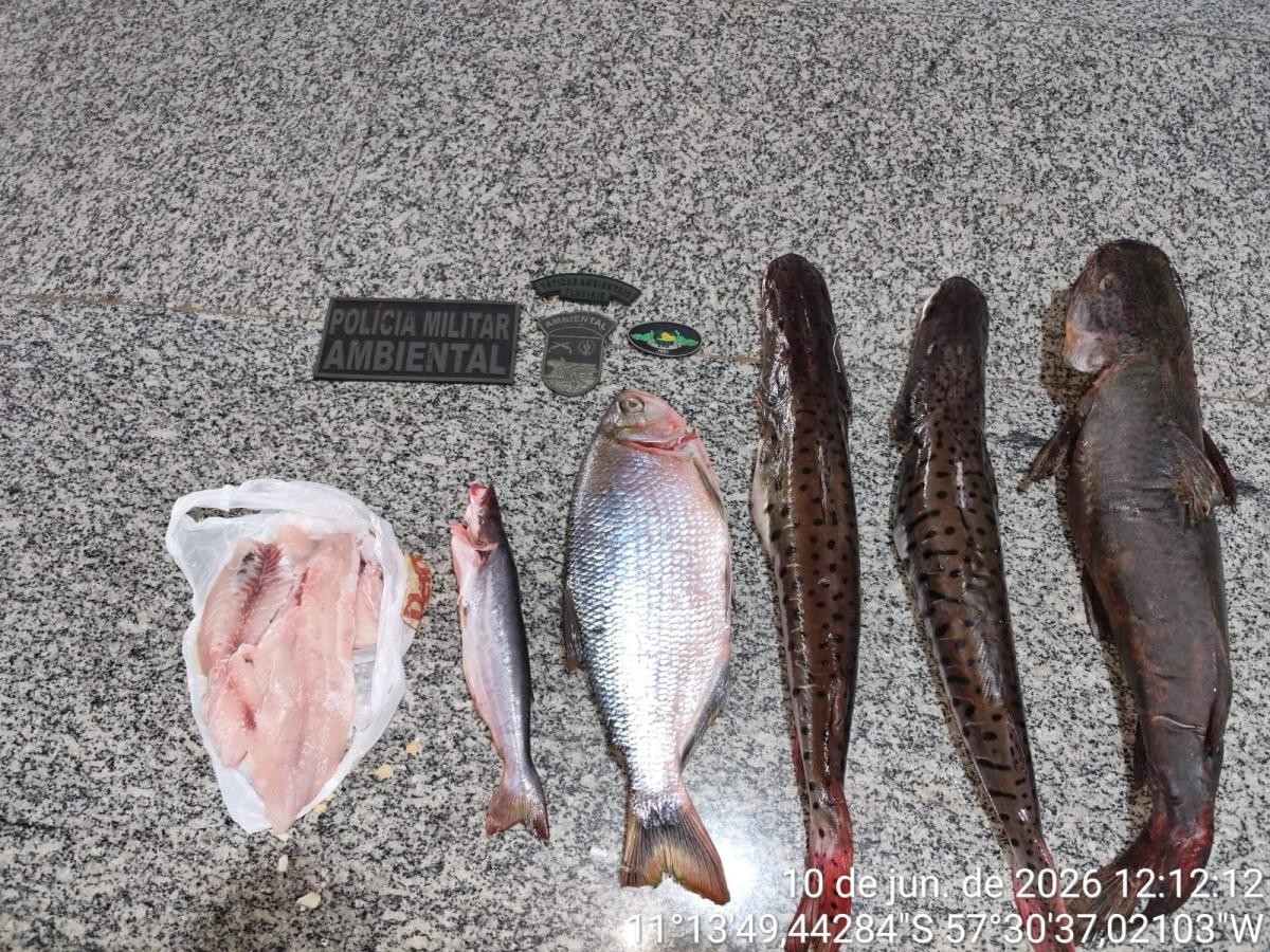 Polícia Ambiental flagra pesca irregular e apreende vários peixes; suspeitos fugiram