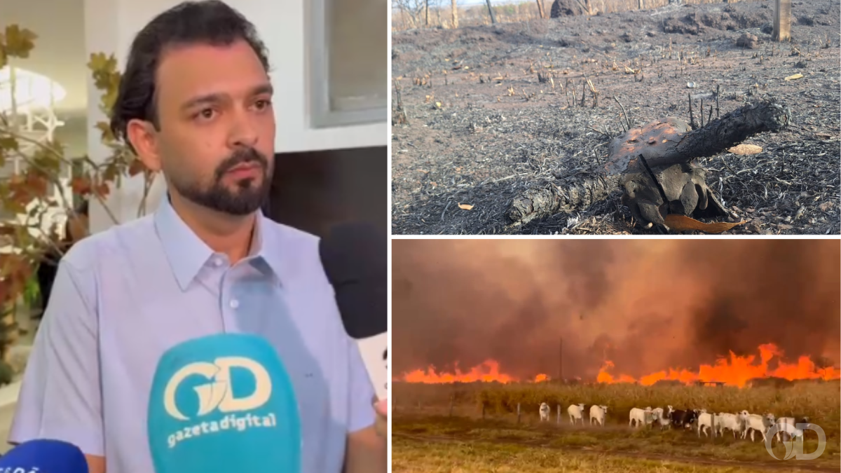 Prefeito de Jangada estima prejuízo de R$ 50 milhões e anuncia força-tarefa contra incêndios