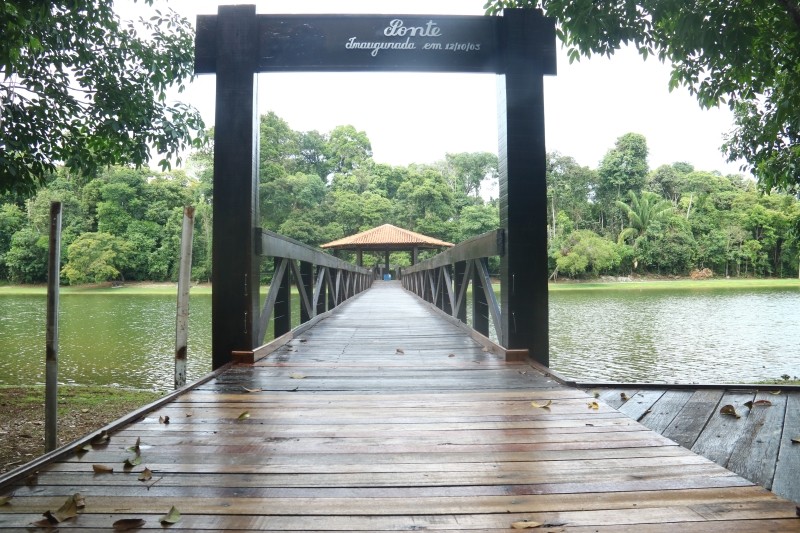 Parque Florestal de Sinop recebe programação especial neste sábado (19) em comemoração ao Dia da Árvore